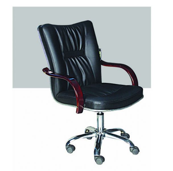 Leisure Office Chair